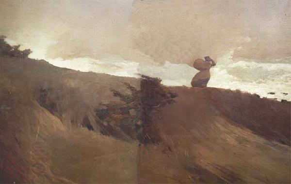 Winslow Homer West Wind (mk44) oil painting picture